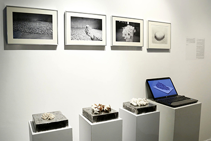 انتشار دومین فراخوان 