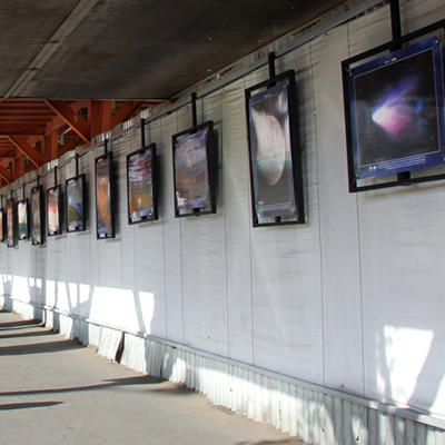 نمایشگاه عکس نجوم در نگارگذر فرهنگ