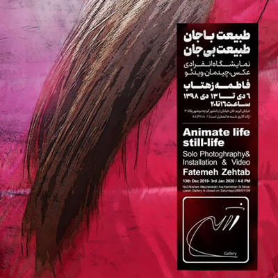 نگاهی به نمایشگاه «طبیعت باجان، طبیعت بی‌جان»