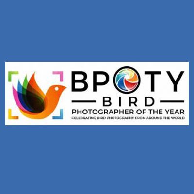 فراخوان عکاسی مسابقه عکس سال پرندگان ۲۰۲۰
